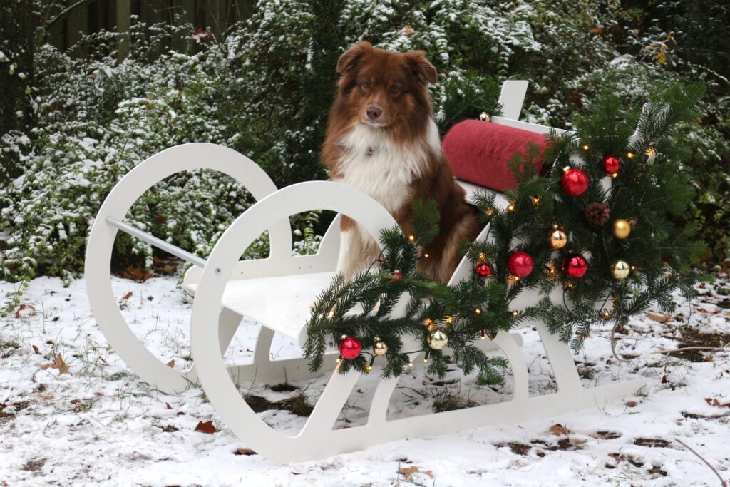 Weihnachtlicher Holzschlitten mit Hund als Warenpräsentation zur Weihnachtspause